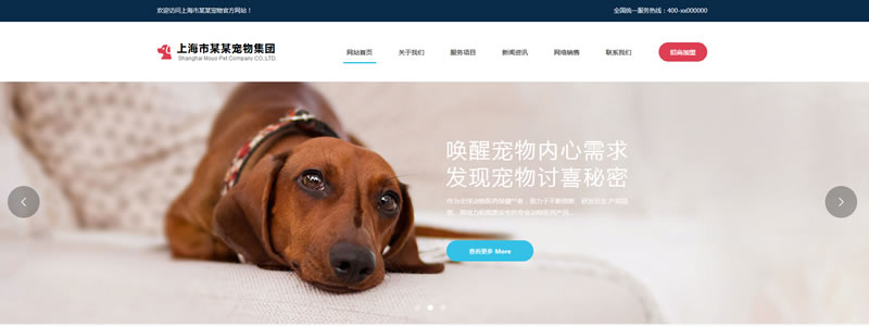 宠物店网站模板T10244.jpg 宠物店网站模板T10244.jpg